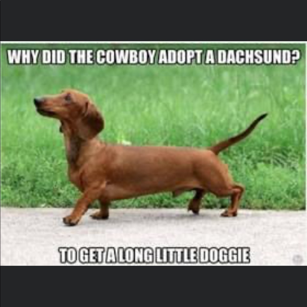 Meet your Posher, Dianne